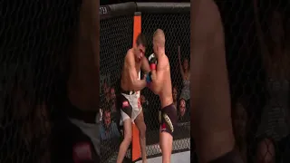 TJ DILLASHAW KNOCKOUT A RENAN BARAO #ufc #mma #ufc280