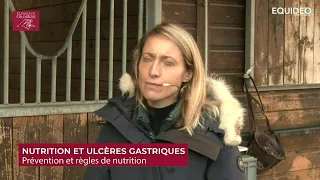 RDV Vétos : Nutrition et Ulcères Gastriques chez le cheval