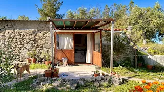 Getting our Off Grid Homestead Ready for Summer 🌻