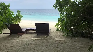Beach villa room tour #maldives #cocoboduhithi