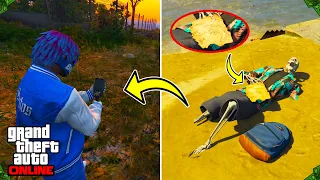 How to UNLOCK The NEW Metal Detector & Buried Stashes in GTA 5 Online (NEW Buried Money STASHES)