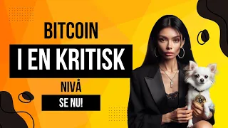 Bitcoin i en kritisk nivå