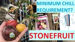 WHAT IS A CHILL REQUIREMENT? GROWING STONEFRUIT | LIVESTREAM