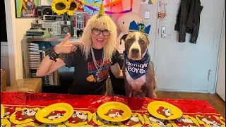 LIVE Birthday Party & Baking Pupcakes for Hudson the NYC Dog