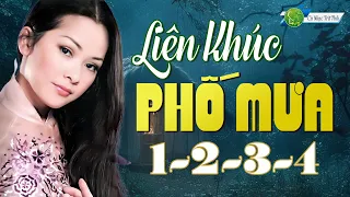 LIÊN KHÚC CHIỀU MƯA 1234 CỰC HAY | LIÊN KHÚC NHẠC TRỮ TÌNH HẢI NGOẠI GÂY NGHIỆN CẢ THẾ GIỚI