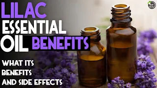 Lilac Essential Oil Health Benefits, Uses, and Side effects