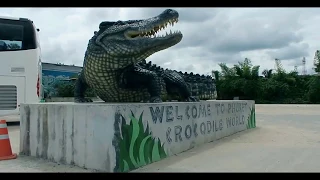 Смертельное #ШОУ с крокодилами. #CrocodileSHOW. Крокодиловая ферма. (Тайланд, о  Пхукет)