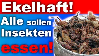 Wir ALLE sollen Insekten 🦗 essen! Ekelerregend oder Rettung der Menschheit?