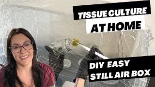 Build A Simple Still Air Box Using Household Items! | Plant Tissue Culture at Home