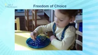 Freedom of Choice Montessori Teacher Training