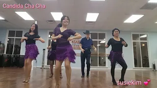 Candida Cha cha Remix (캔디다 차차 라인댄스) line dance 쉽고 재밌는 차차차