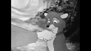 Tod, The Beast, The Tramp, Simba, Bambi, Rapunzel, Tarzan, Arlo, Spirit, Baloo sad moments.