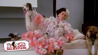 "Help me Save them" | (4/15) Movie Scenes | 102 Dalmatians (2000) HD