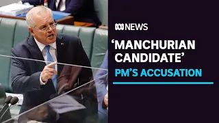 PM accuses Labor MP of being a 'Manchurian candidate' in Question Time | ABC News