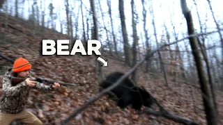 This BEAR got TOO CLOSE! - Bear Hunting with Dogs