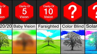 Comparison: Human Vision