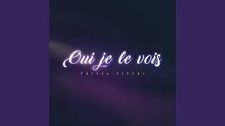 Oui je le vois