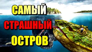 САМЫЙ СТРАШНЫЙ ОСТРОВ В МИРЕ!! Змеиный остров! #океан #змея