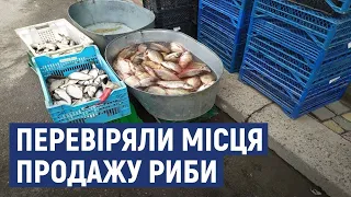 У Кропивницькому перевіряли місця продажу риби. За півтори години склали один протокол