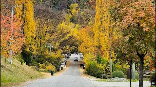 New Zealand in autumn 2023