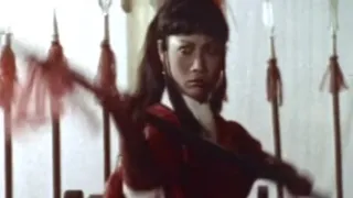 animal kung fu Angela Mao