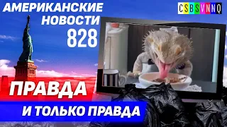 CSBSVNNQ Американские новости - выпуск #828 от 10.09.2022