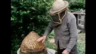 Hands: Of Bees & Bee Skeps