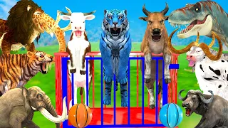 Escape Room Challenge Cow Tiger Elephant Lion Dinosaur Guess The Right Basketball Game With Gorilla