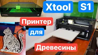 Такого ВЫ НЕ Видели. XTOOL S1 Лазерный  Гравер для крупного формата. ЛАЗЕРНЫЙ Принтер для Древесины