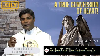 Homily of the conversion of St. Paul - Fr. Charles Vijay CSsR