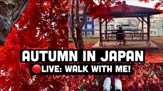 Autumn in Japan 🍁 Walk With Me! Fall Colours at Morioka Castle Park