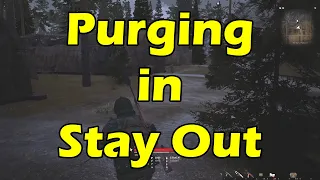 Stay Out PVP - Purge Clan (US1 Server)