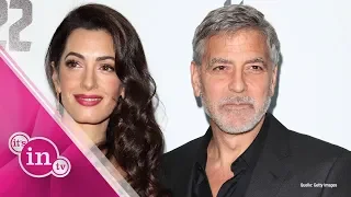 Amal & George Clooney: Ist sie schwanger mit Zwillingen?