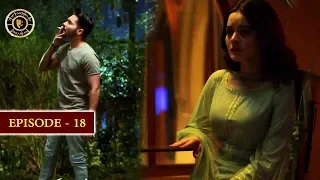 Hassad Episode 18 |  Minal Khan | Top Pakistani Drama