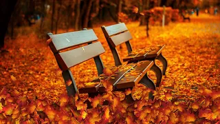 2 HOURS of Enchanting Autumn Nature Scenes + Relaxing Music