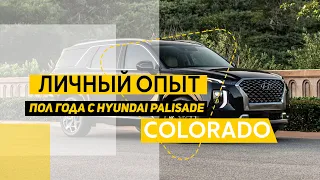 Пол года с Hyundai Palisade 2021. Личный опыт, эмоции эксплуатации.