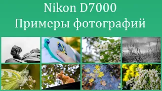 Nikon D7000, на что способна 11-летняя зеркальная камера в 2021 году. Примеры фотографий.