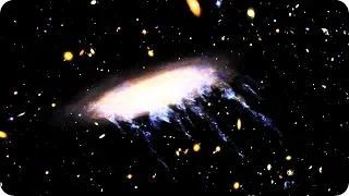 КосмоСториз: ТАИНСТВЕННАЯ ГАЛАКТИЧЕСКАЯ «МЕДУЗА» (ESO 137-001)