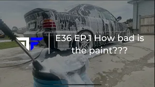 The E36 EP.1 | Paint Decontamination and Inspection