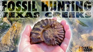 NEW FAVORITE HUNT - Fossil Hunting North Texas Creeks - March 2024