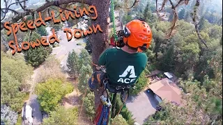 Arborist Speed-Lining Principles PART 1.