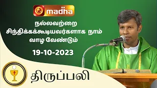 🔴 LIVE 19 OCTOBER  2023 Holy Mass in Tamil 06:00 PM (Evening Mass) | Madha TV