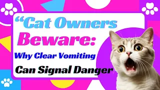 Cat Owners Beware Why Clear Vomiting Can Signal Danger