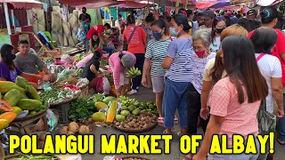POLANGUI ALBAY Palengke Tour on a Busy Market Day! | Province Life in Bicol Philippines
