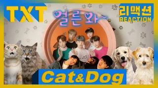 [ENG SUB] MV director's reaction on TXT - 'Cat & Dog' MV