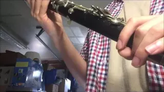 RM R Malerne Standard Clarinet Demo Video