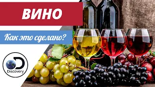 Вино | Как это сделано?