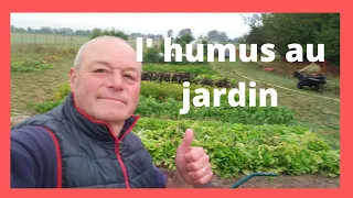 comment faire de l'humus dans son jardin