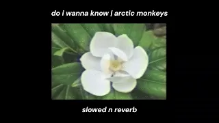 DO I WANNA KNOW • ARCTIC MONKEYS | slowed n reverb