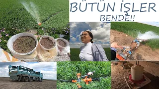 BÜTÜN İŞLER BENDE! (İSLİM KEBABI YAPTIM-SULAMA HATTINDAKİ ARIZA-YENİ FİDELER-CİVCİVLER)